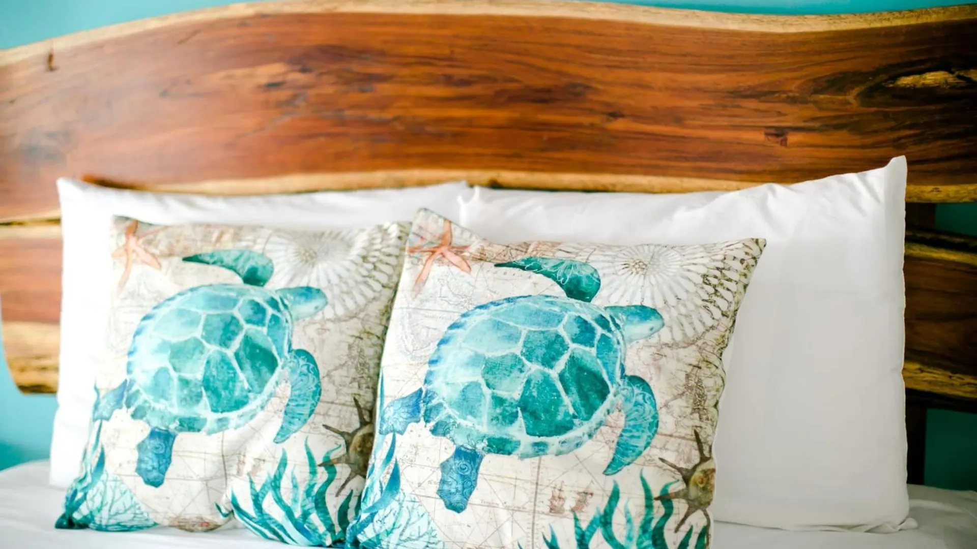 Apartment PENINSULA STAYS 3BR House Tiburón Ballena BEST in HOLBOX Mexiko